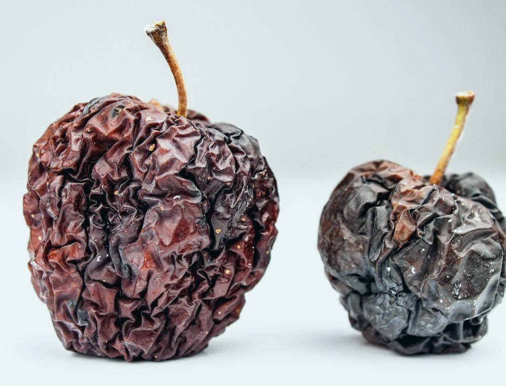 Blog Artikel Erscheinungsbild